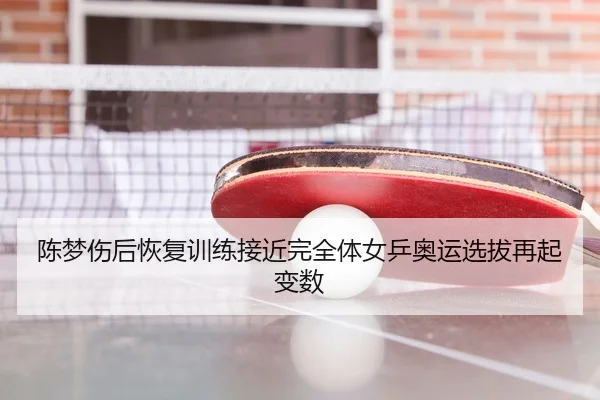 陈梦伤后恢复训练接近完全体女乒奥运选拔再起变数