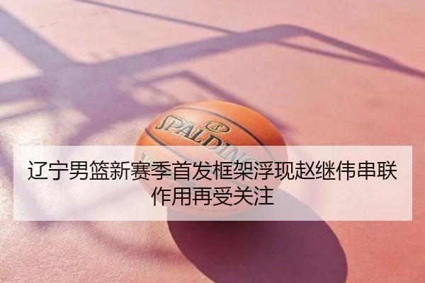 辽宁男篮新赛季首发框架浮现赵继伟串联作用再受关注