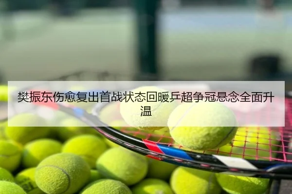 樊振东伤愈复出首战状态回暖乒超争冠悬念全面升温